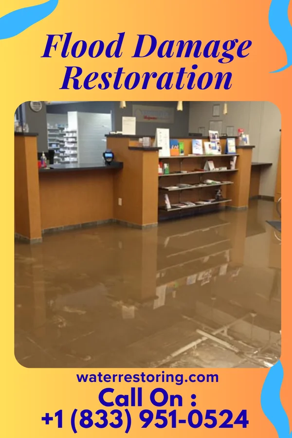 Flood Damage Restoration in Nimmons, AR