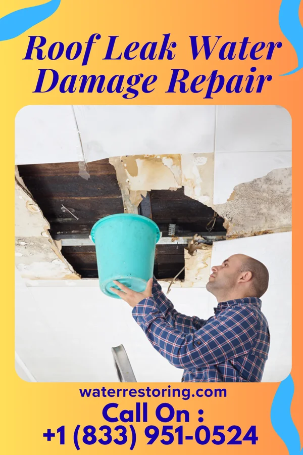 Roof Leak Water Damage Repair in Nimmons, AR